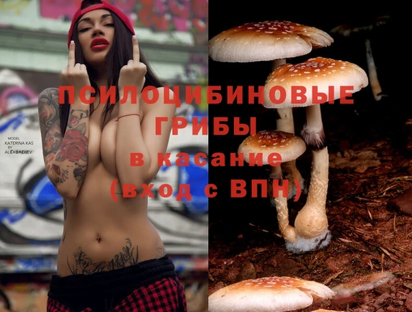 МДПВ Нязепетровск