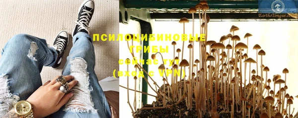 apvp Нягань