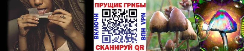 Псилоцибиновые грибы ЛСД  Купить  Южа 